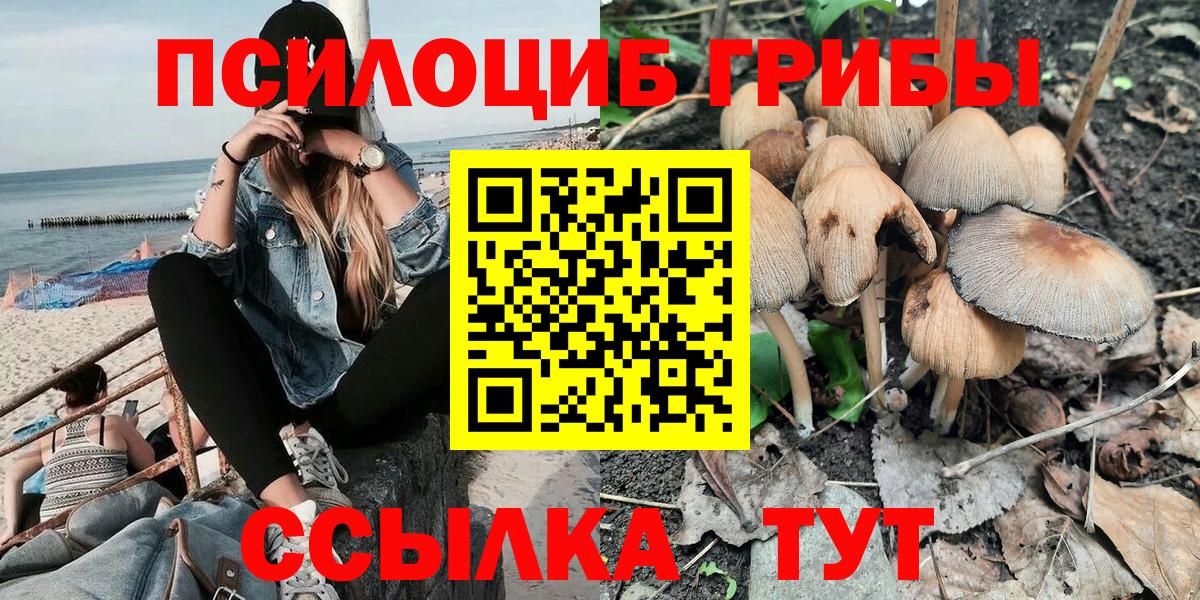 Псилоцибиновые грибы Psilocybine cubensis  Вход с VPN  Галлюциногенные грибы прущие грибы  Химки 