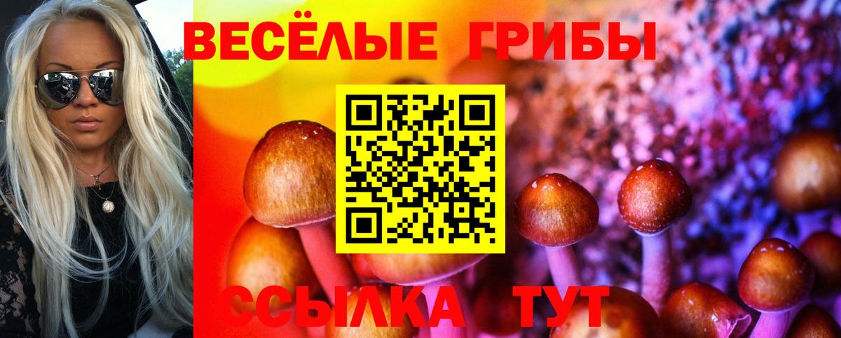 Псилоцибиновые грибы ЛСД Химки